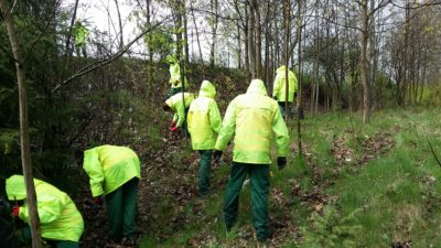 Porządkujemy nasze otoczenie!