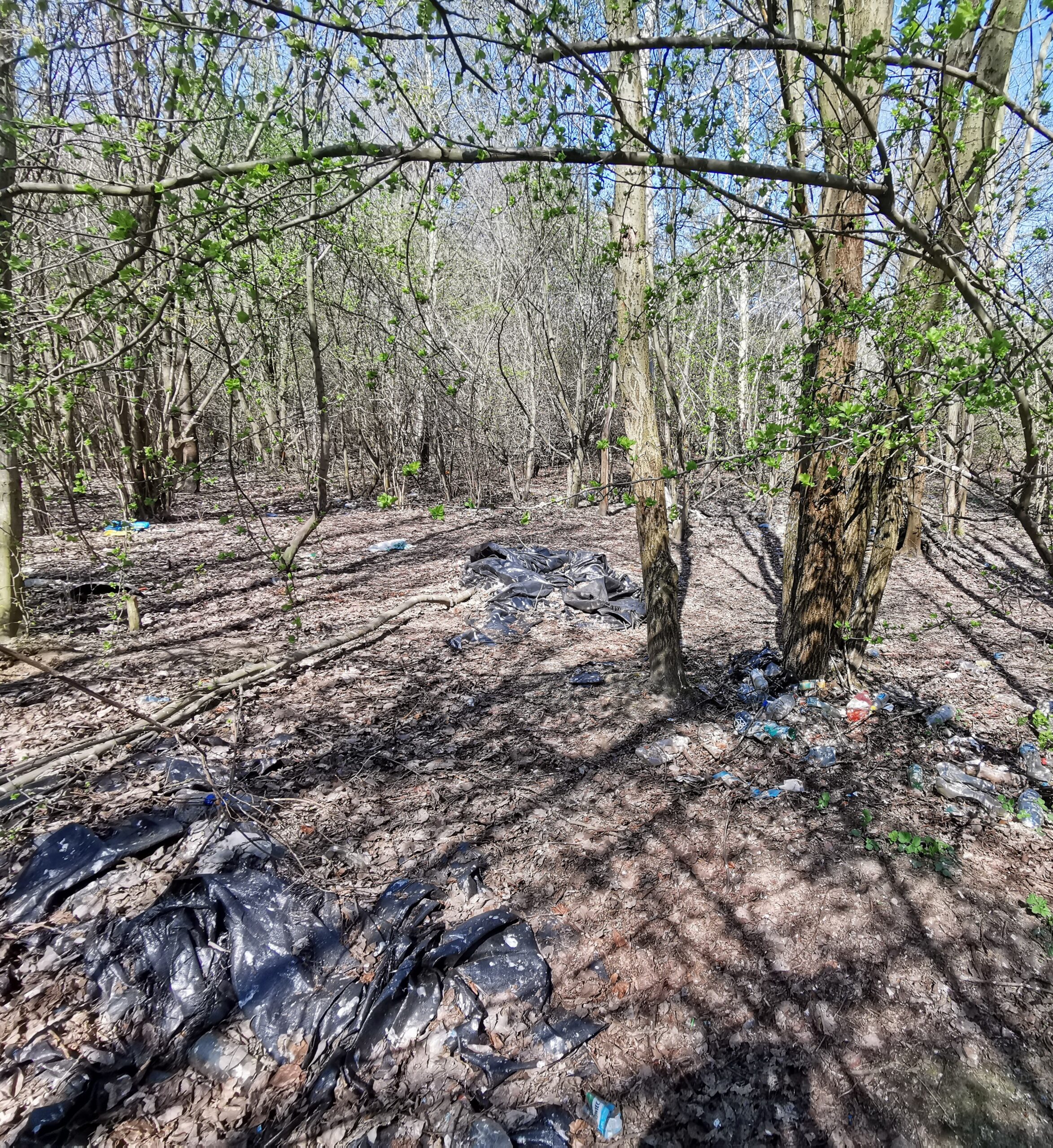 Posprzątaliśmy południowy Gdańsk