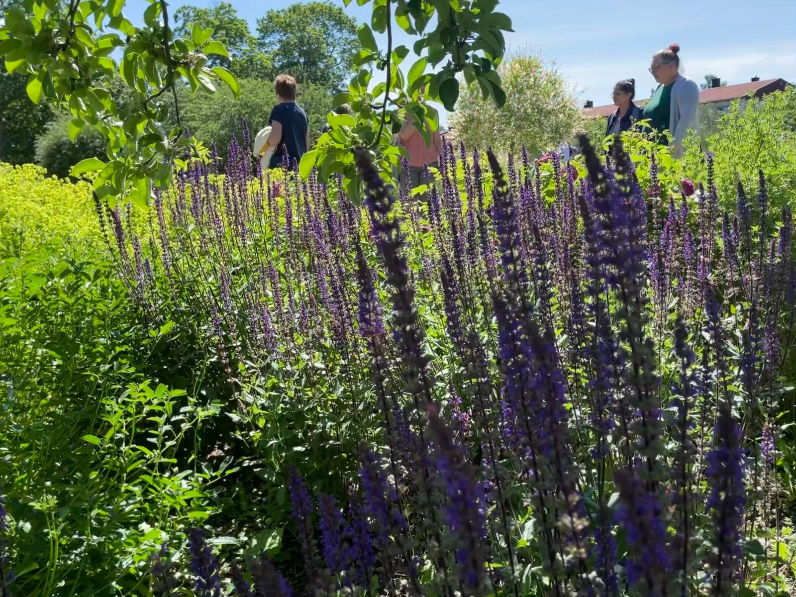 Spotkanie partnerów projektu BAPR w Kalmar