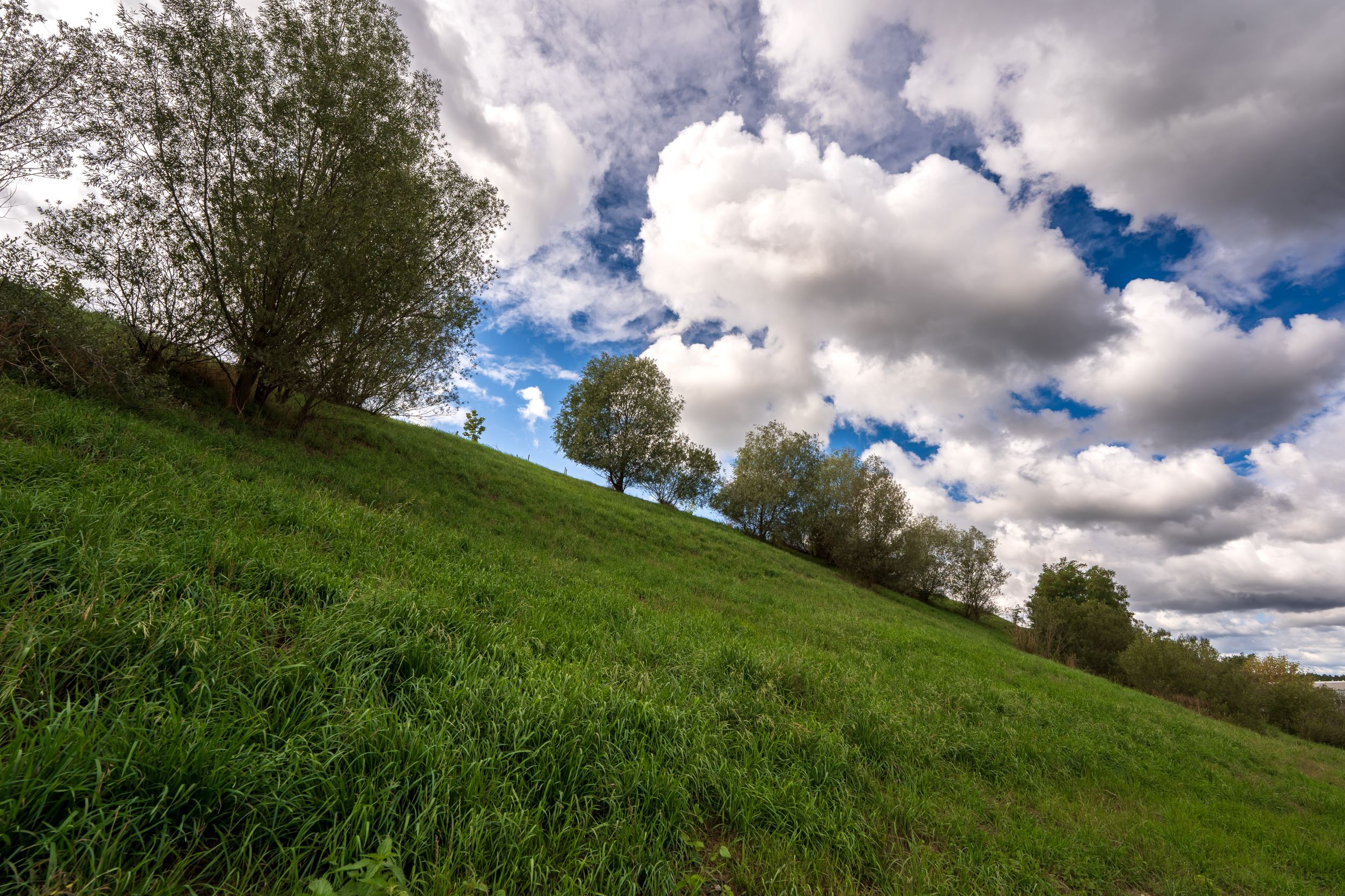 Zakład Utylizacyjny Sp. z o. o. w Gdańsku