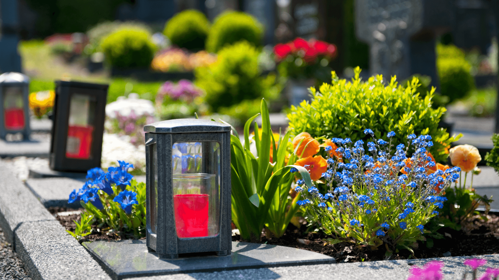 Zakład Utylizacyjny Sp. z o. o. w Gdańsku