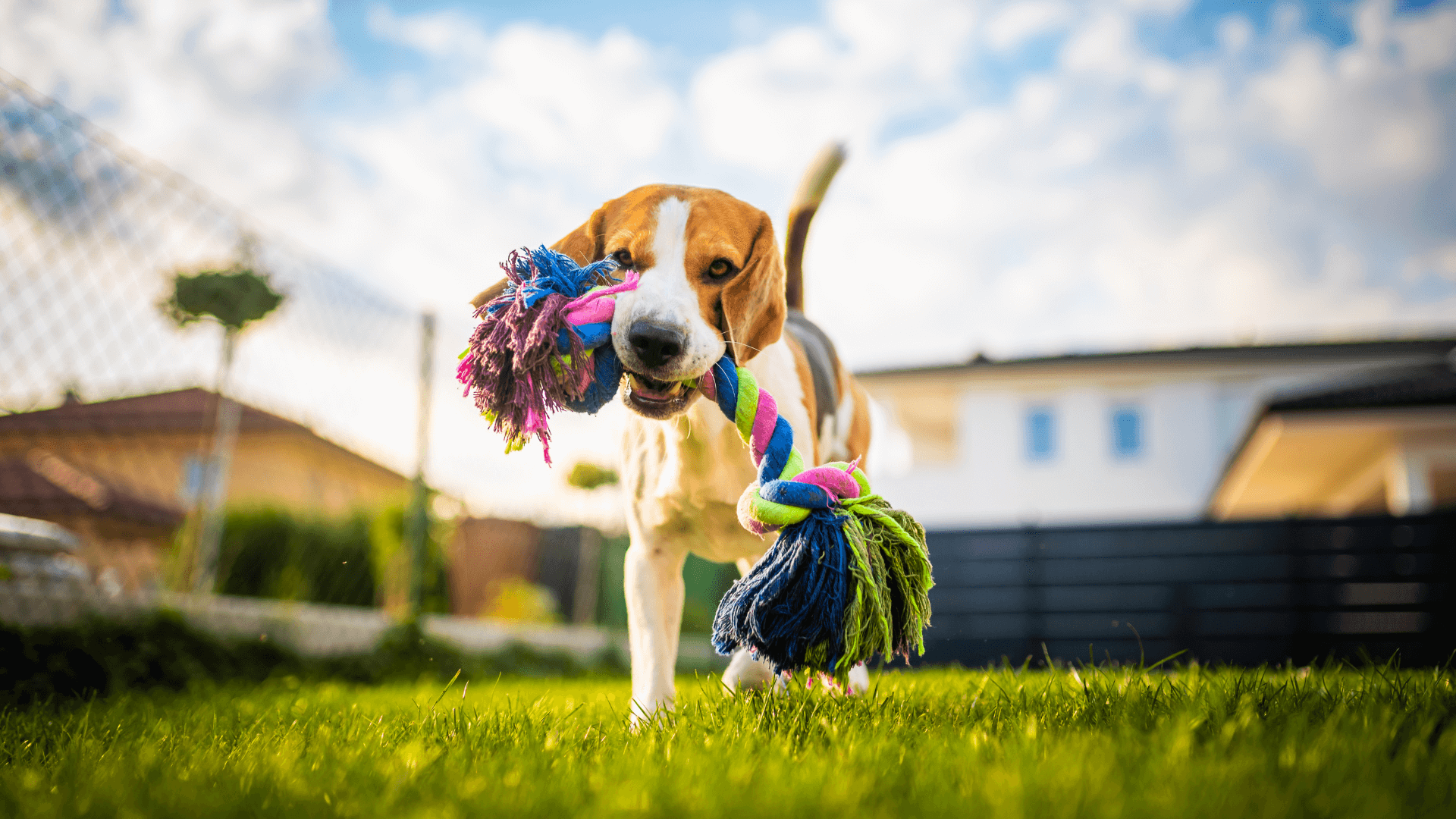 Zakład Utylizacyjny Sp. z o. o. w Gdańsku