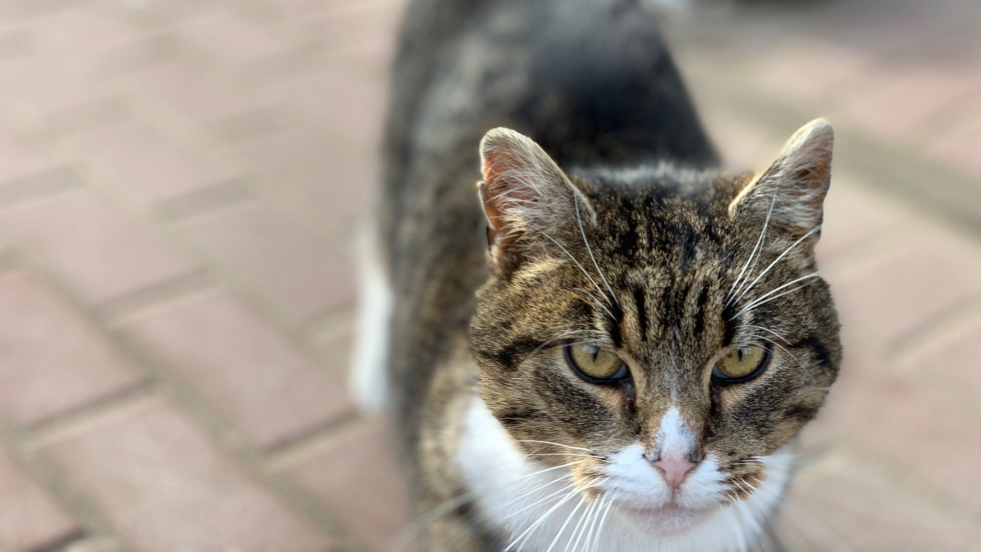 Zakład Utylizacyjny Sp. z o. o. w Gdańsku