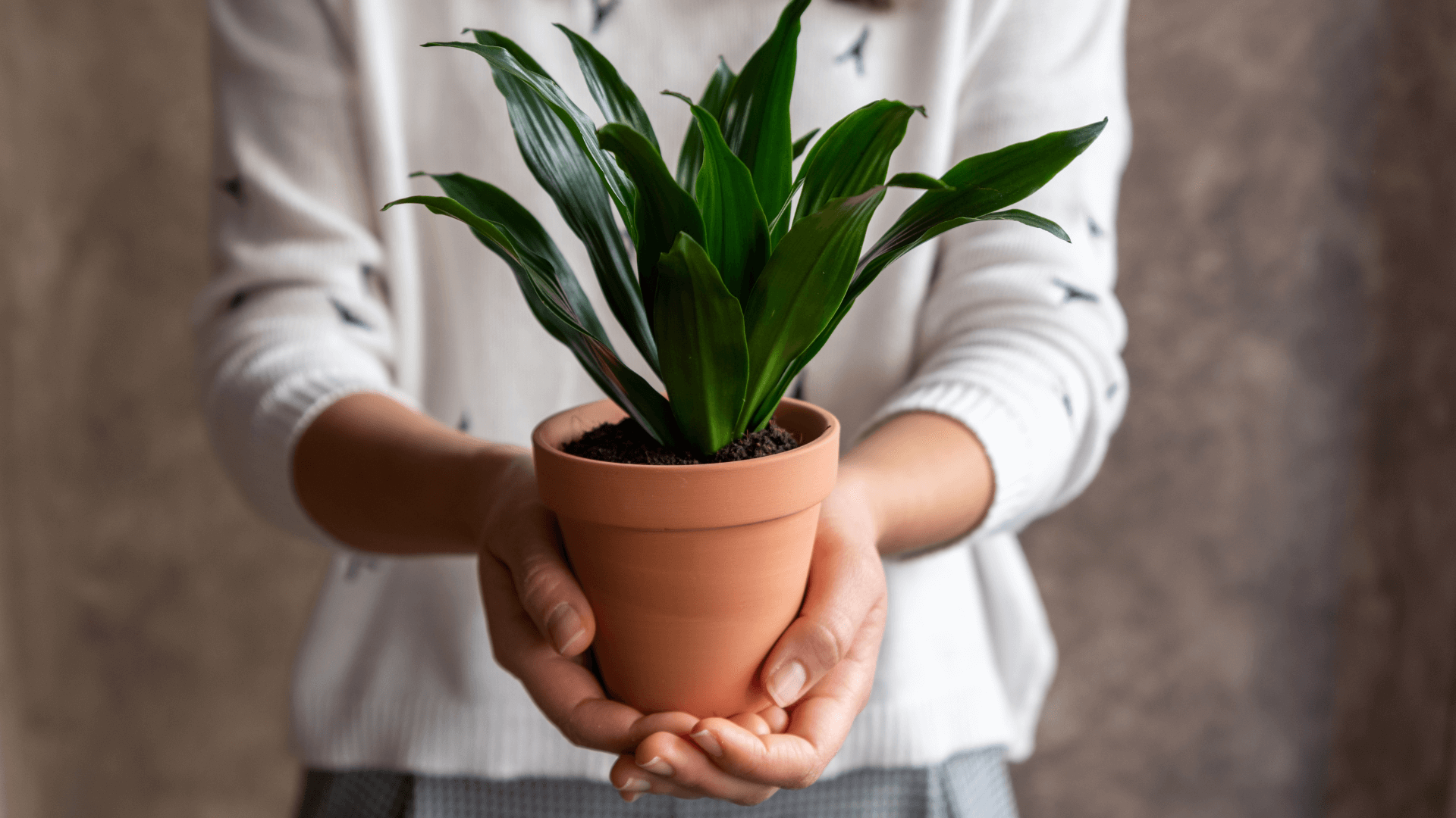 Zakład Utylizacyjny Sp. z o. o. w Gdańsku