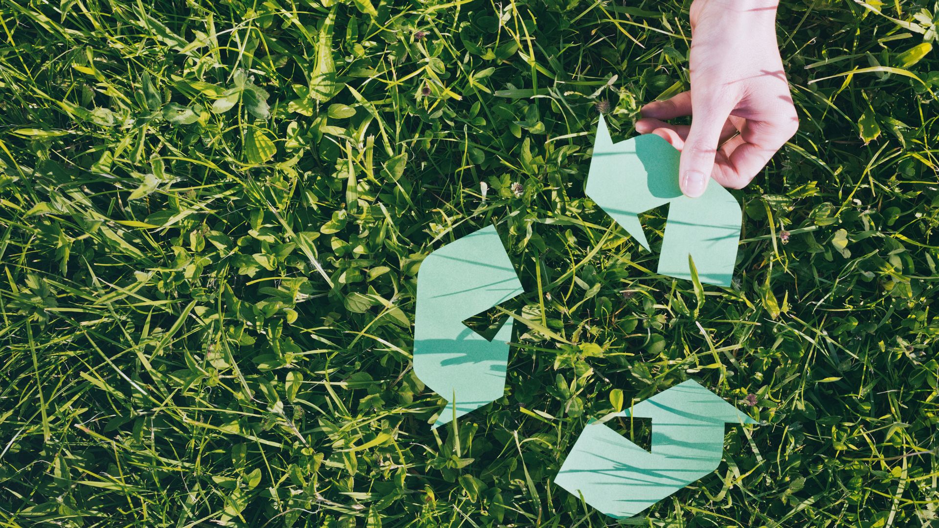 Zakład Utylizacyjny Sp. z o. o. w Gdańsku