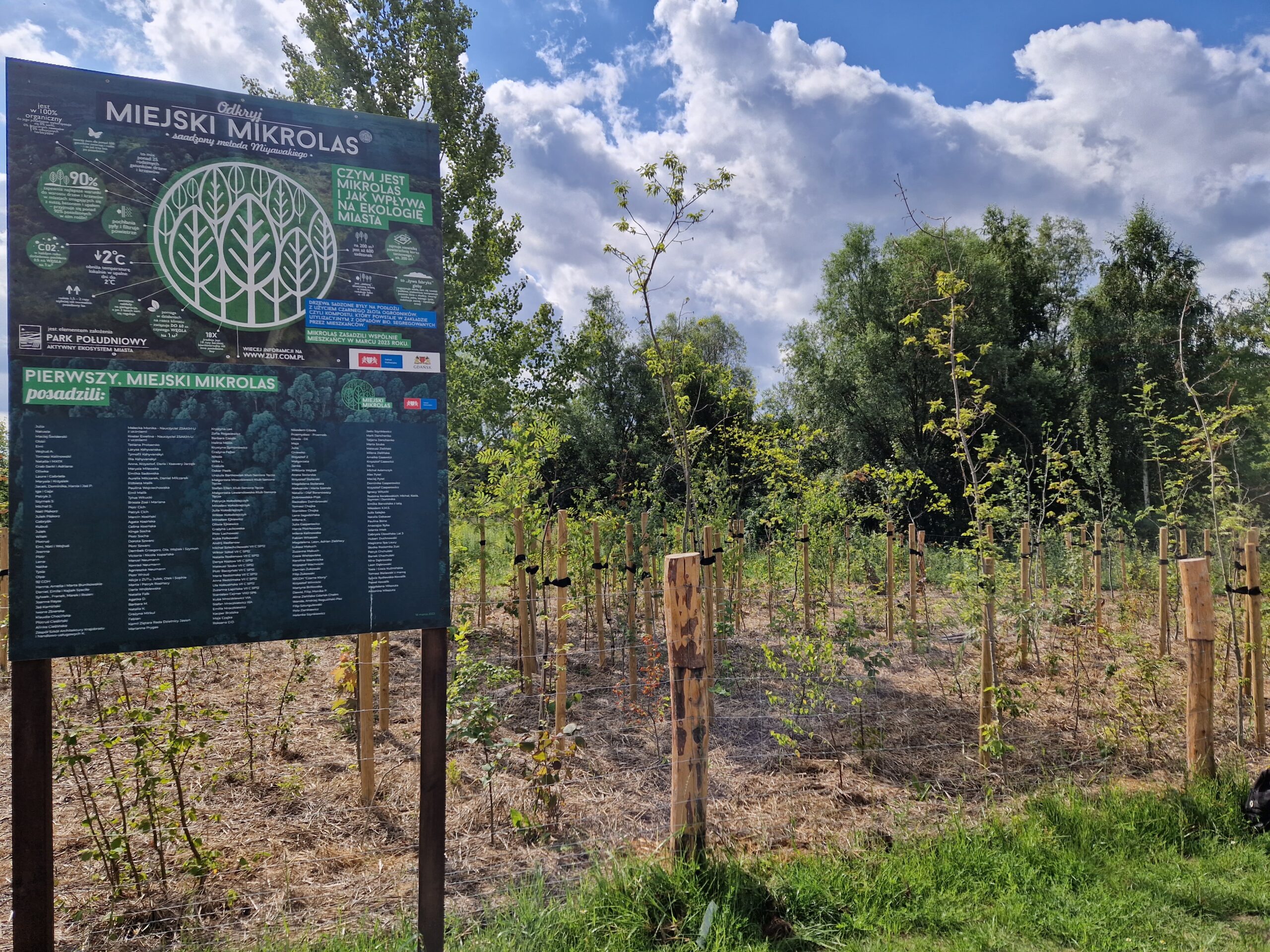 Pielęgnacja Miejskiego Mikrolasu