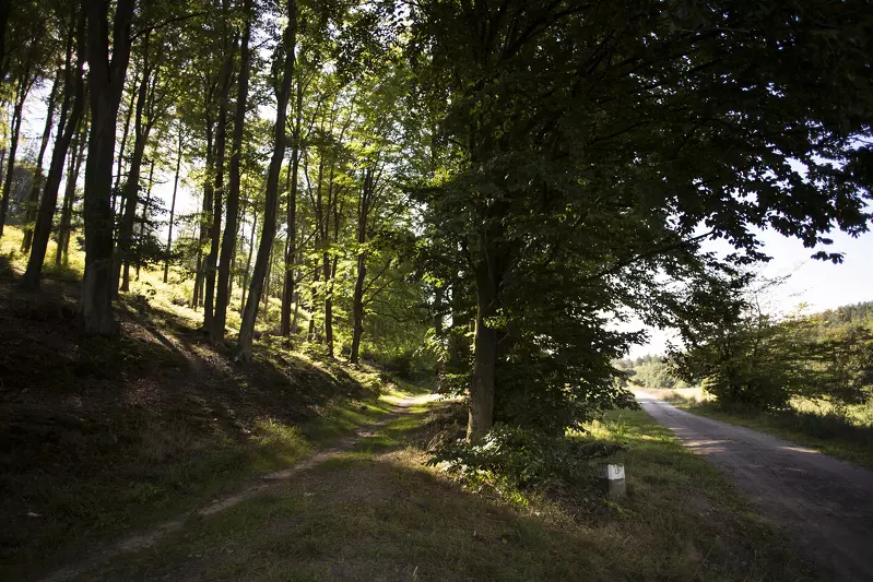 Ekoturystyka - Trójmiejski Park Krajobrazowy, część oliwska, fot. Jerzy Pinkas / www.gdansk.pl
