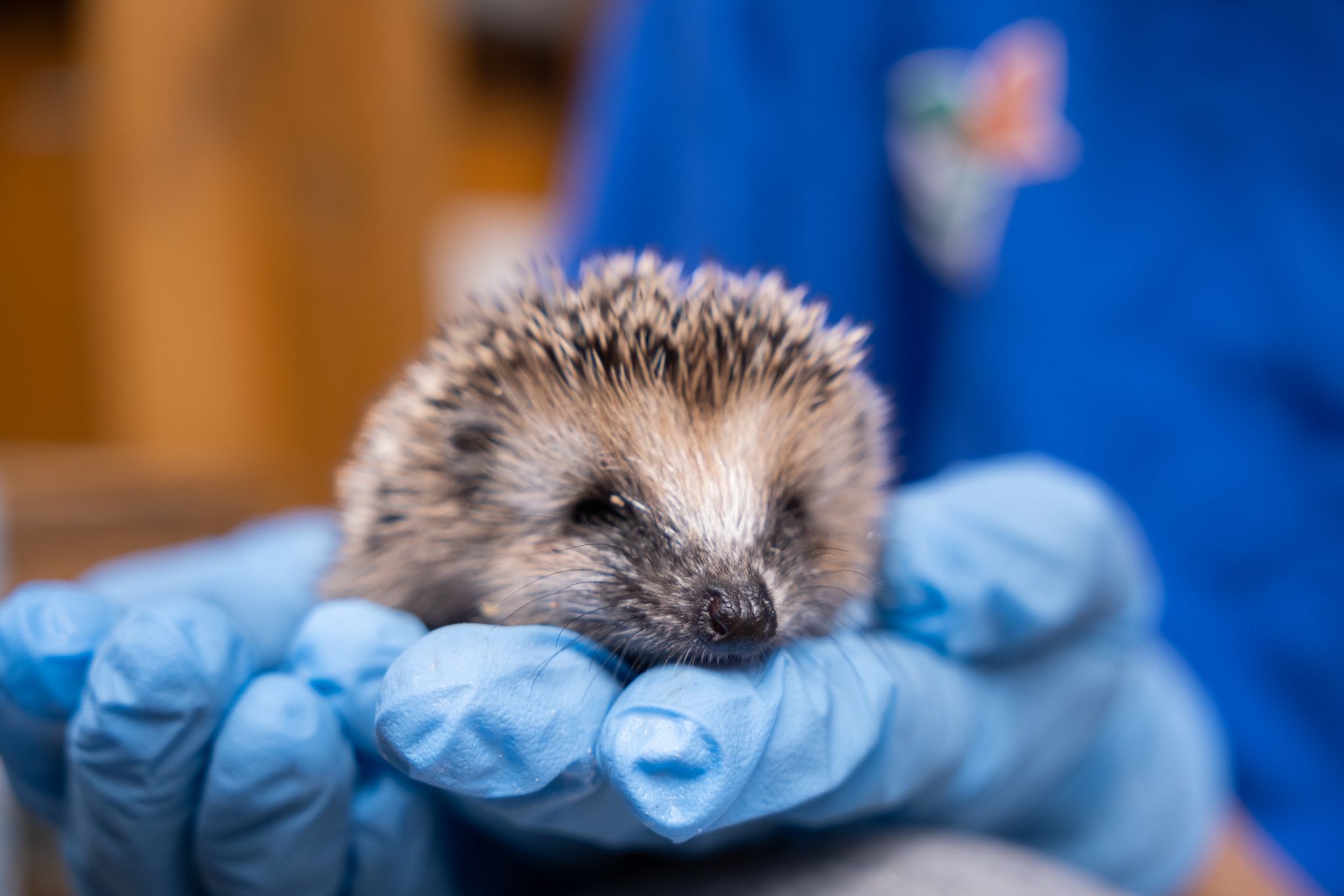 Zakład Utylizacyjny Sp. z o. o. w Gdańsku