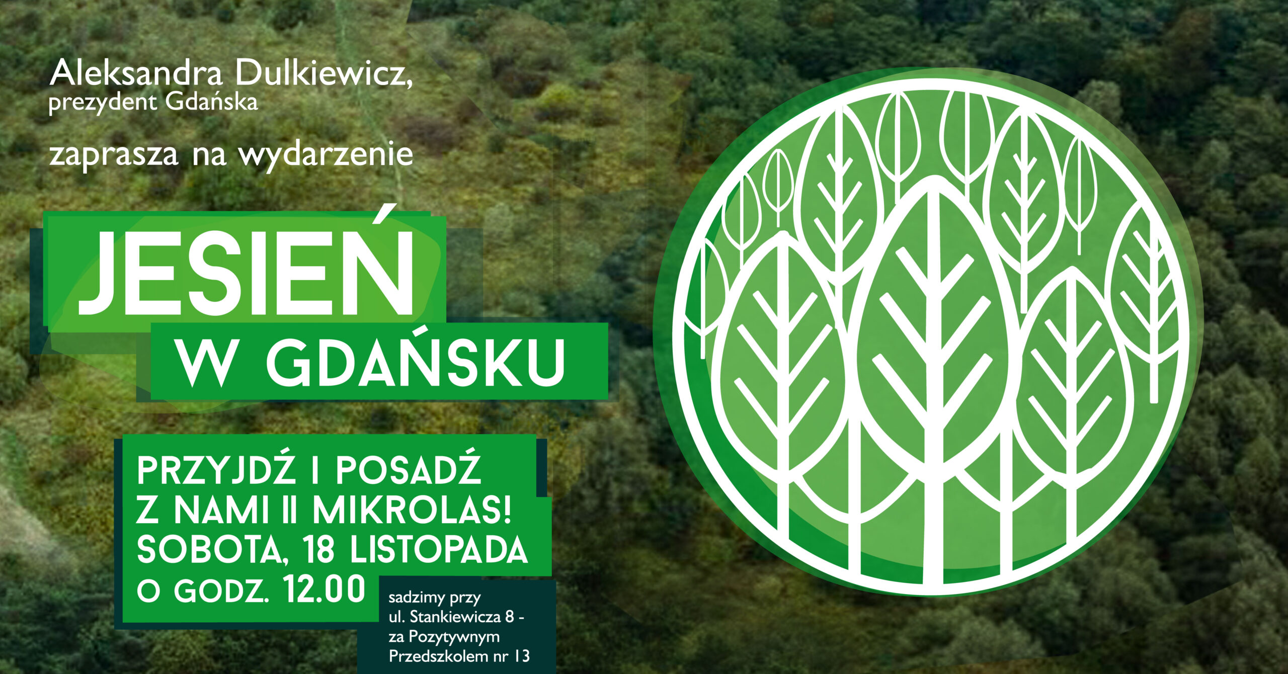 Sadzimy drugi Miejski Mikrolas w Gdańsku