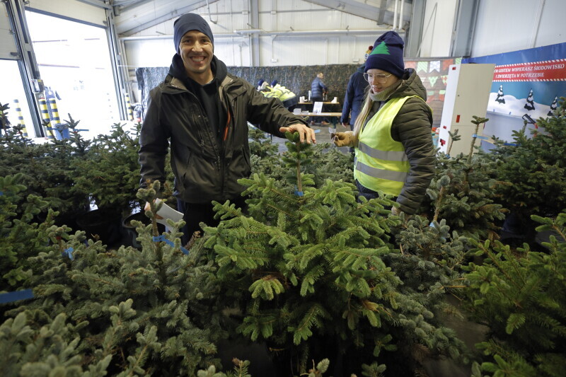 Blisko 36 tys. zł na pomoc dzikim zwierzętom zebrały …. choinki!