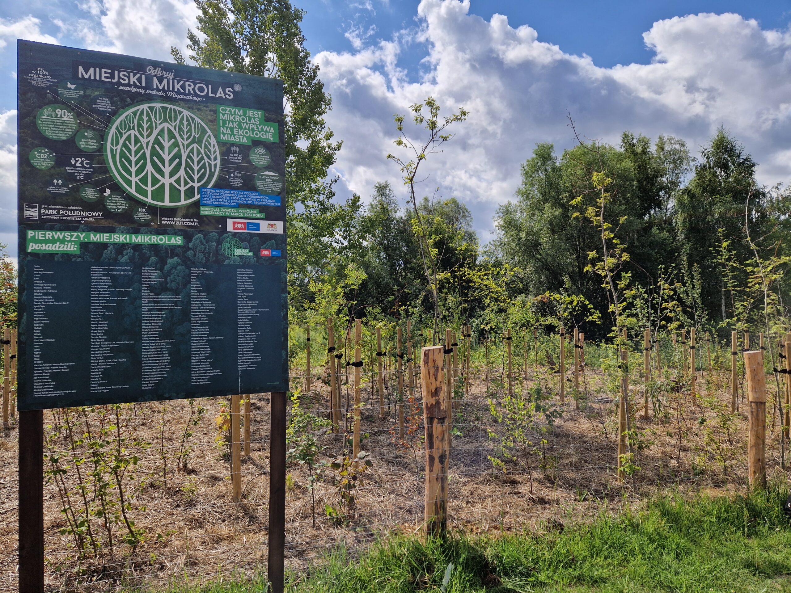 Do czterech mikrolasów odlicz!