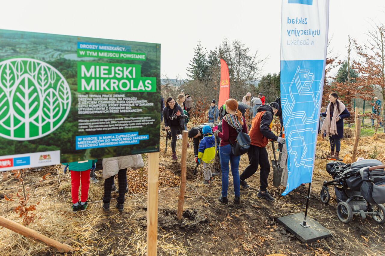 Miejski Mikrolas po raz trzeci!