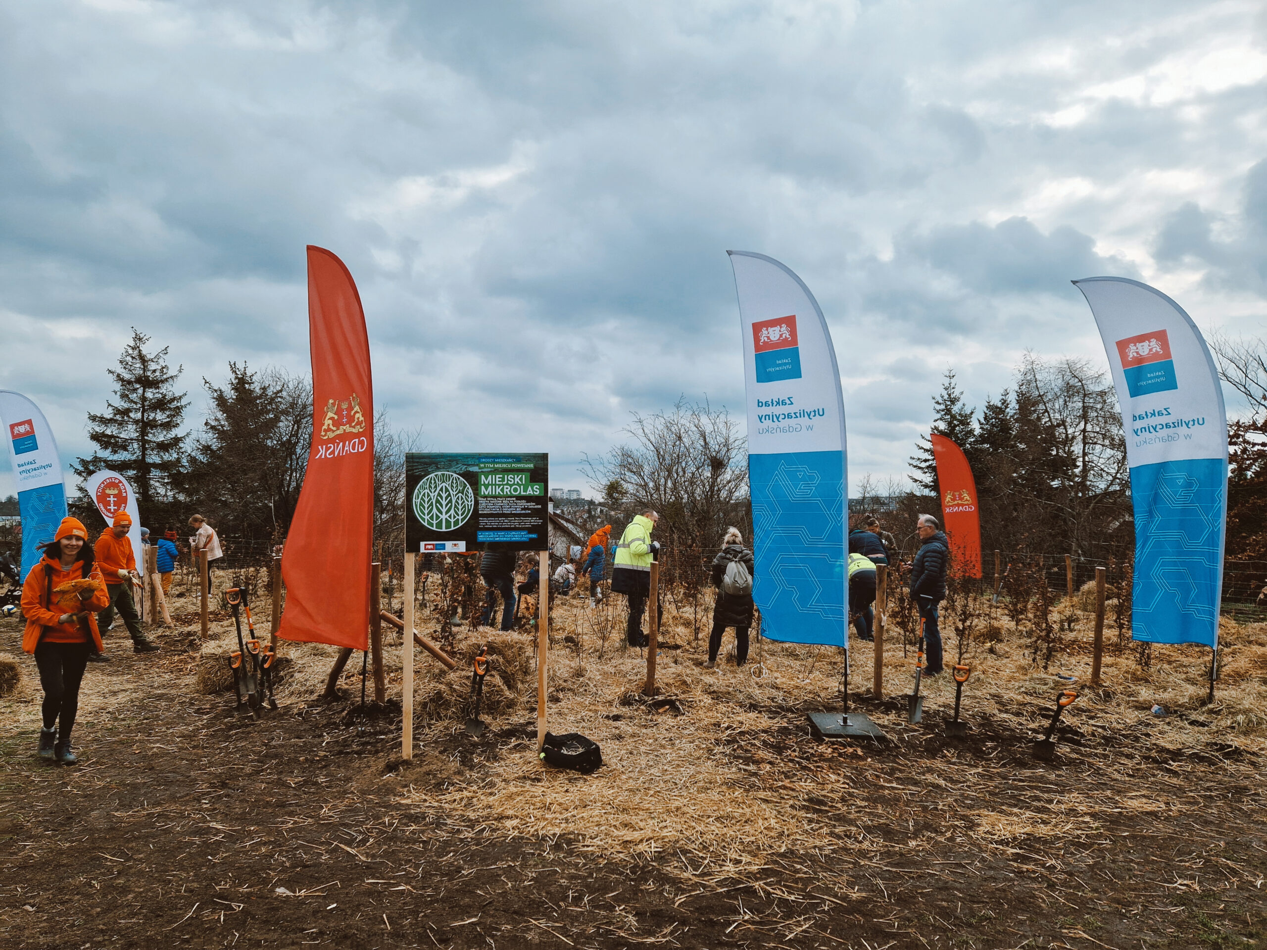 Mikołajkowy Mikrolas w Gdańsku