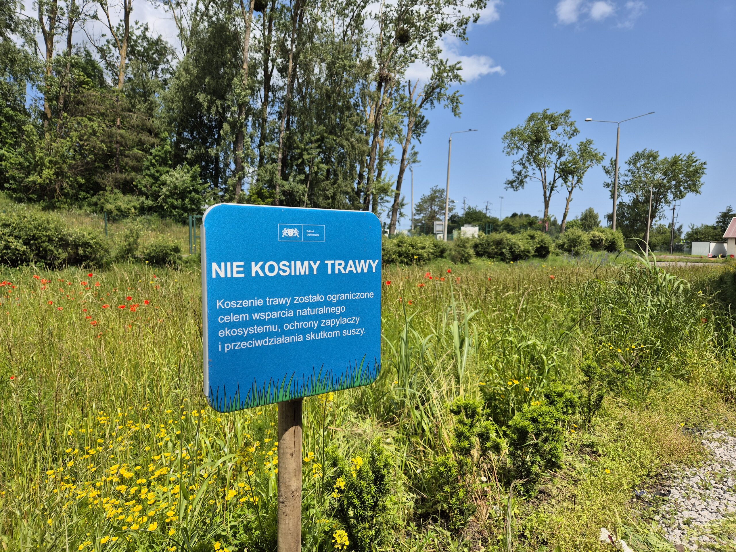 Nowe technologie i praktyki w ZUT